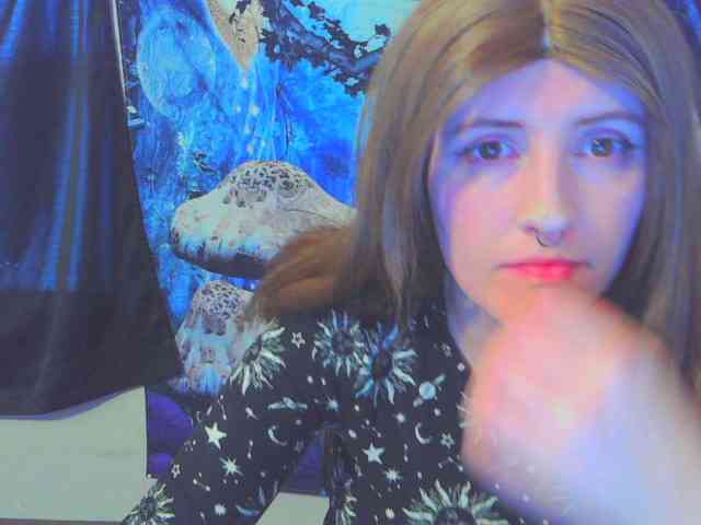 stormythunder webcam