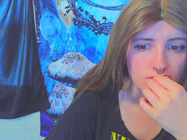 stormythunder webcam