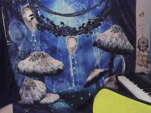 stormythunder webcam