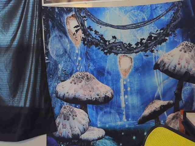 stormythunder webcam