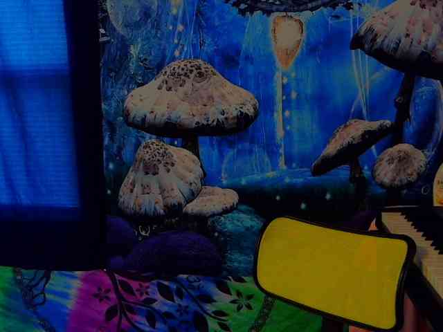 stormythunder webcam