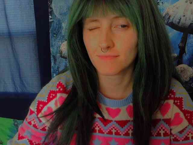 stormythunder webcam