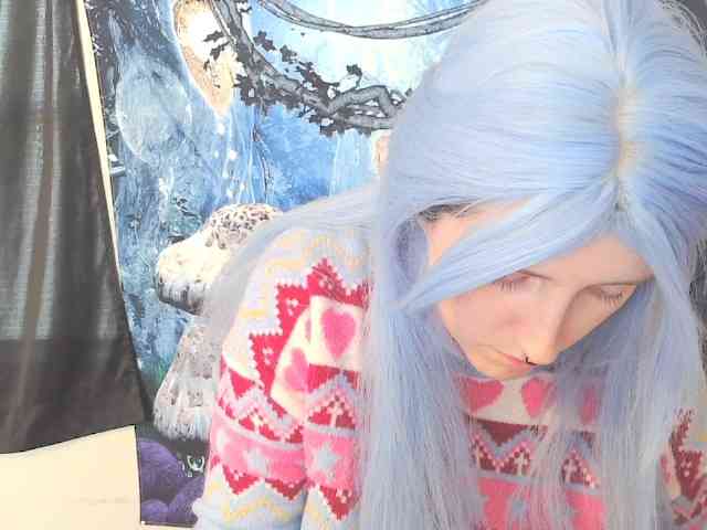 stormythunder webcam