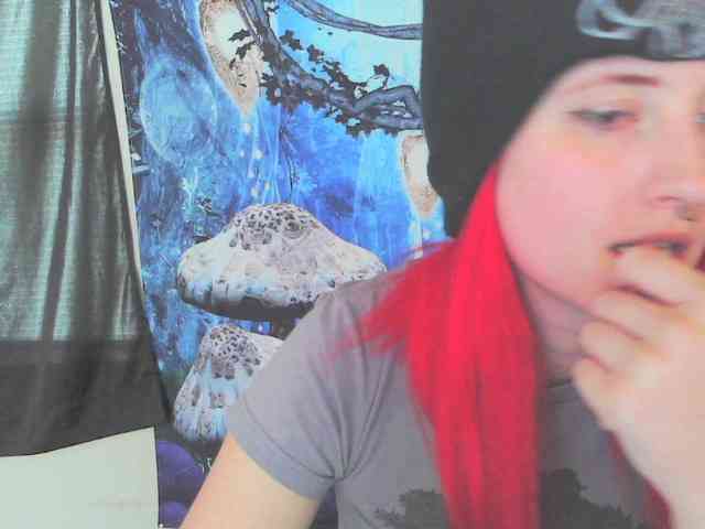 stormythunder webcam