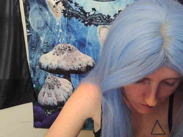 stormythunder webcam