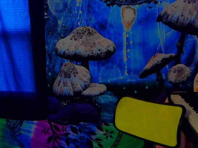 stormythunder webcam