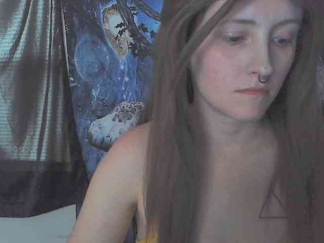 stormythunder webcam