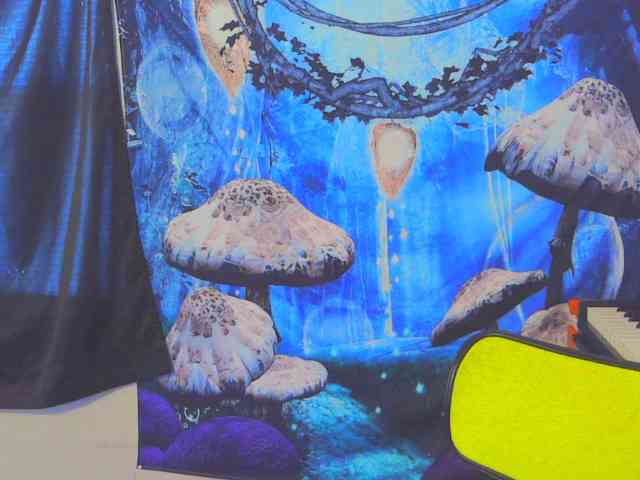 stormythunder stormythunder