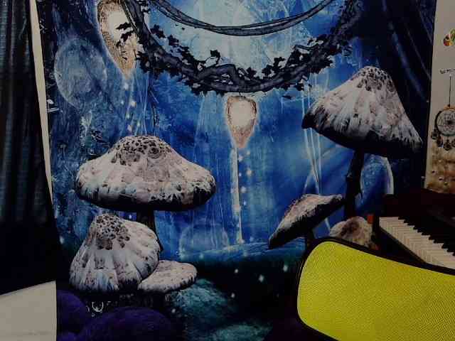 stormythunder webcam