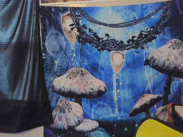 stormythunder webcam