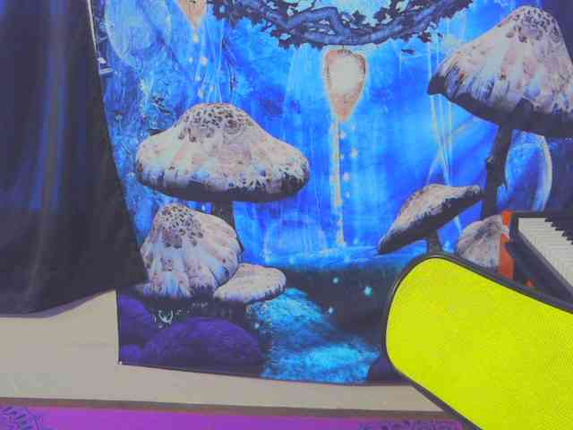 stormythunder webcam