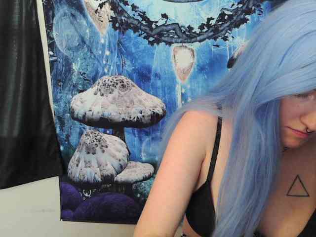 stormythunder webcam