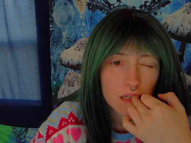 stormythunder webcam