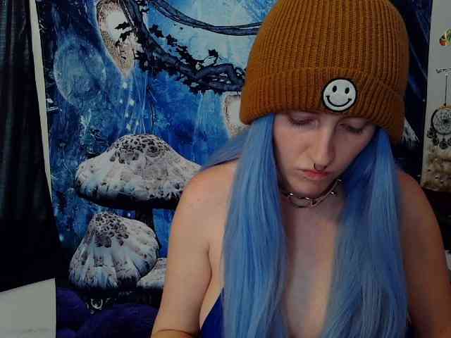 stormythunder webcam