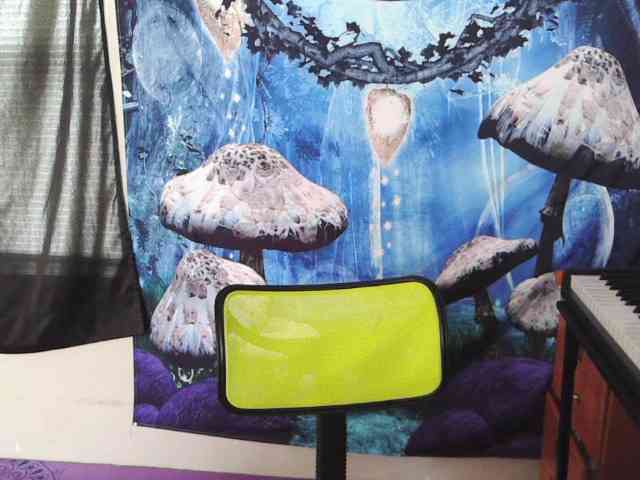 stormythunder webcam