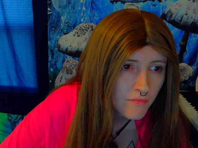 stormythunder webcam