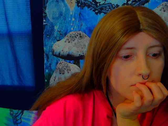 stormythunder webcam