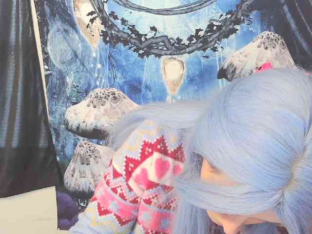 stormythunder webcam