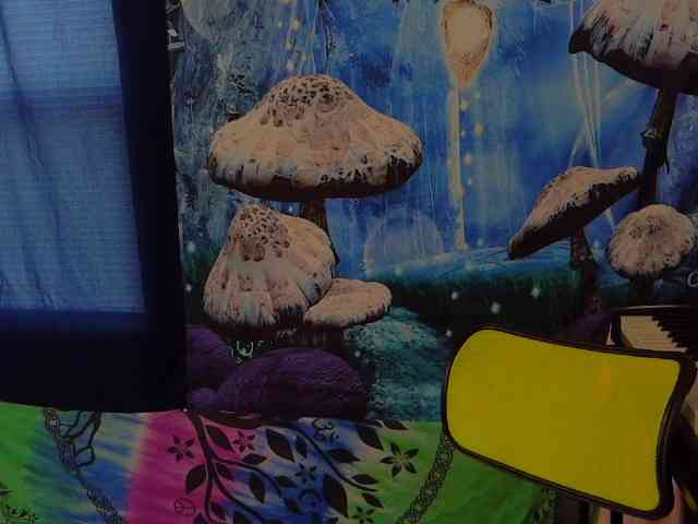 stormythunder webcam