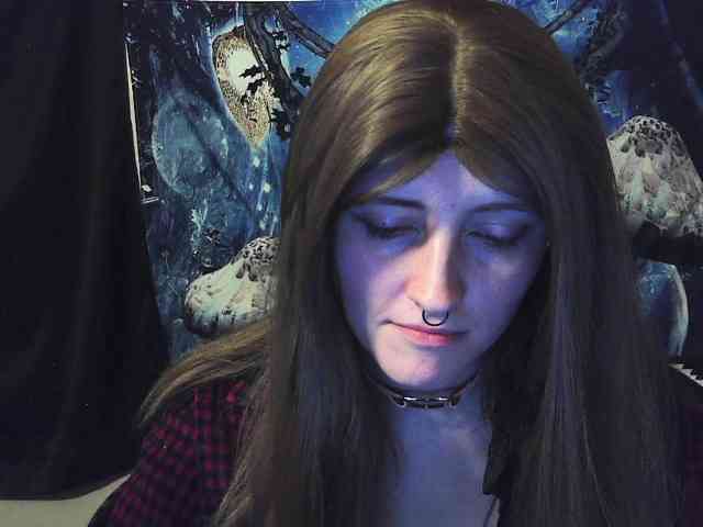 stormythunder webcam