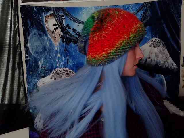 stormythunder webcam