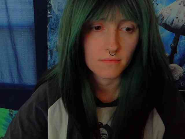 stormythunder webcam