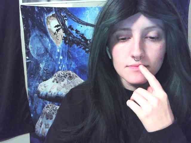 stormythunder webcam