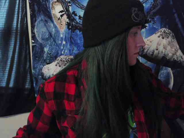 stormythunder webcam