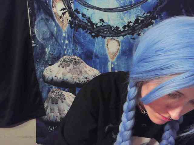 stormythunder webcam