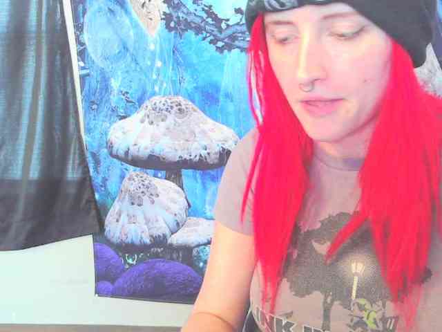 stormythunder webcam