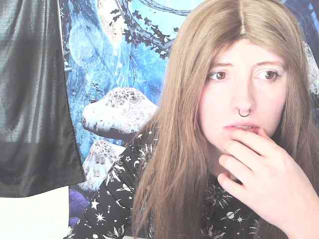 stormythunder webcam