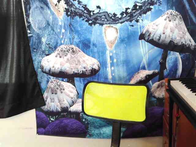 stormythunder webcam