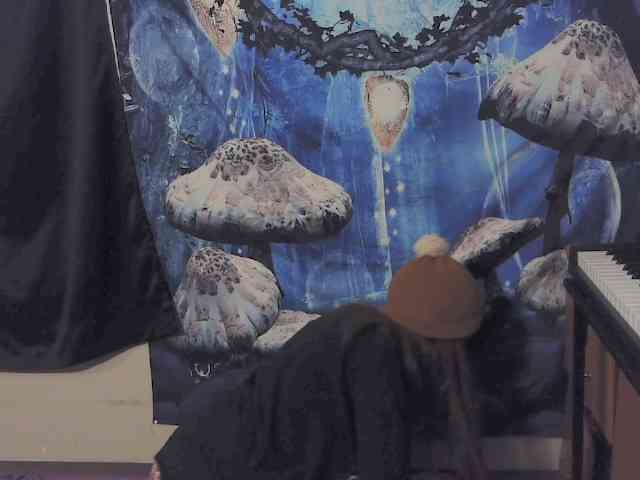 stormythunder webcam