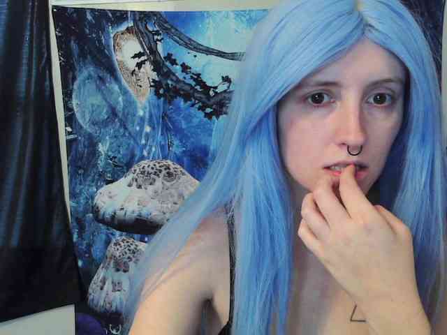 stormythunder webcam