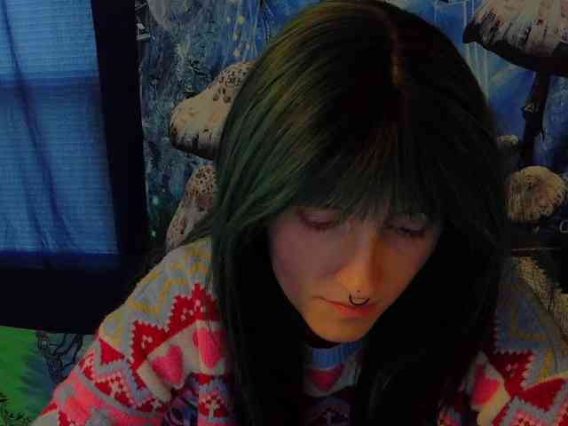 stormythunder webcam