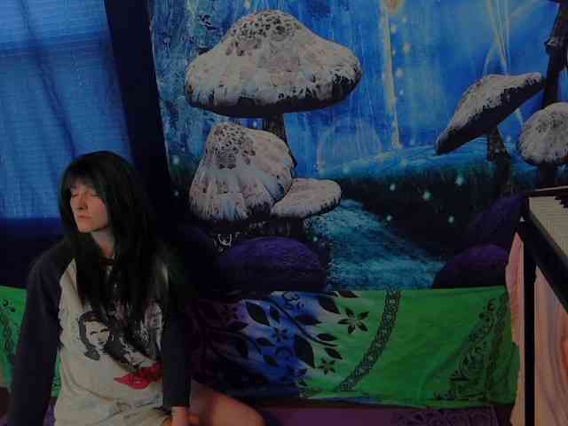 stormythunder webcam