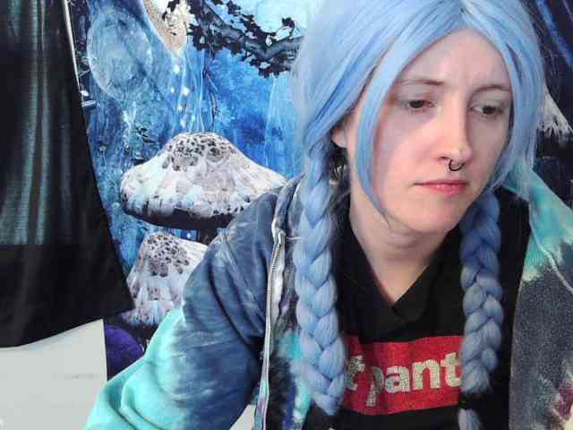 stormythunder webcam