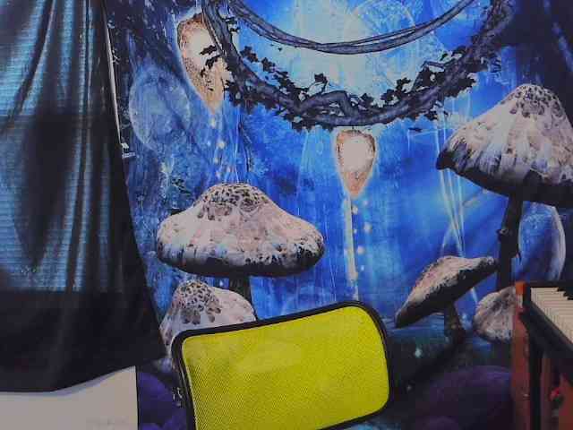 stormythunder webcam