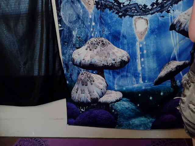 stormythunder webcam