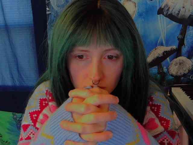 stormythunder webcam