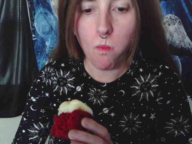 stormythunder webcam