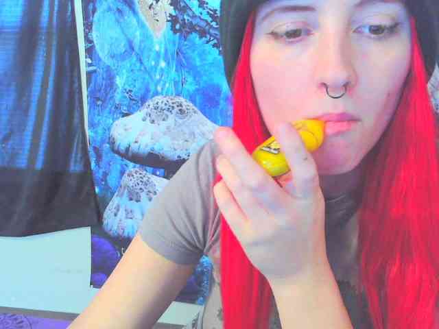 stormythunder webcam