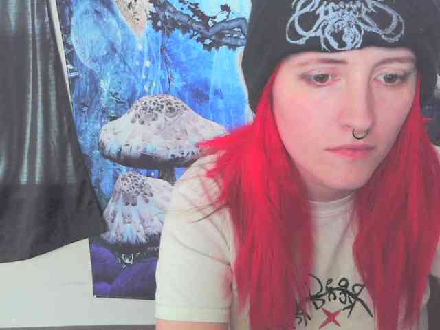 stormythunder webcam