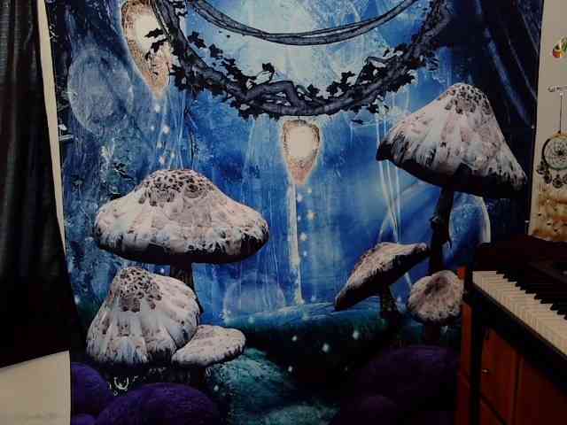 stormythunder webcam