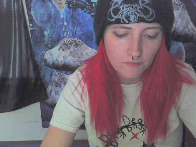 stormythunder webcam