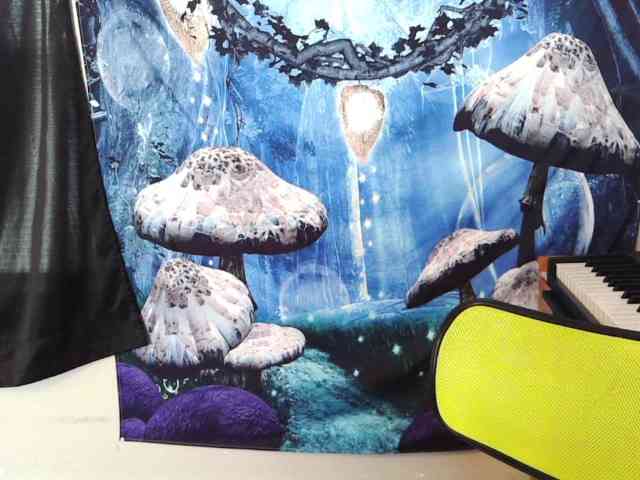 stormythunder webcam