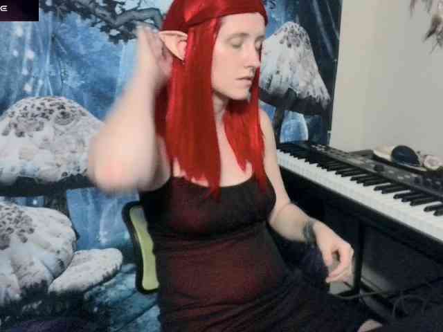 stormythunder webcam