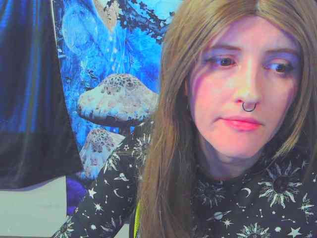 stormythunder webcam