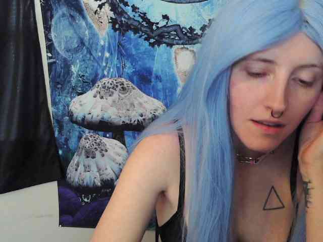 stormythunder webcam