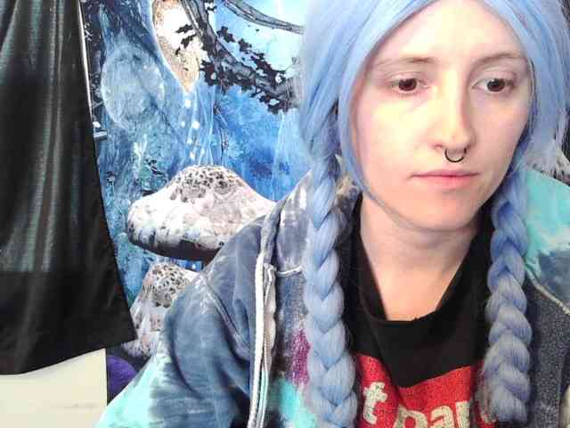 stormythunder webcam